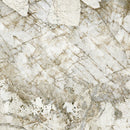 Carrara 2 85658
