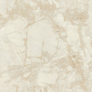 Carrara 2 86622