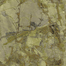 Carrara 2 86628