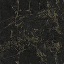 Carrara 2 86629