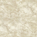 Carrara 2 86645