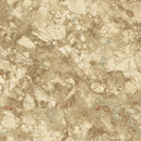Carrara 2 86658
