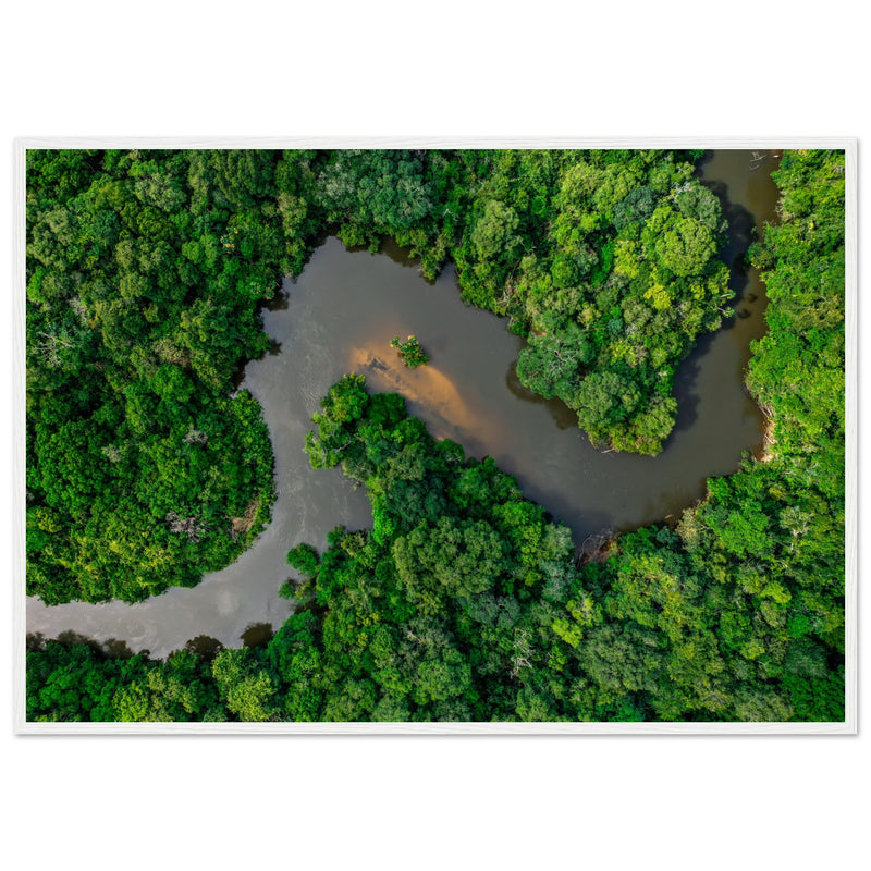 Meandros del Amazonas: El Corazón Verde