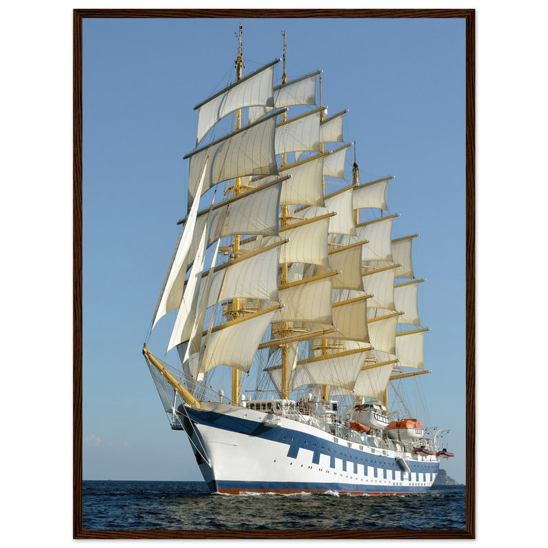 Navegante Solitario: Majestuosidad en Alta Mar
