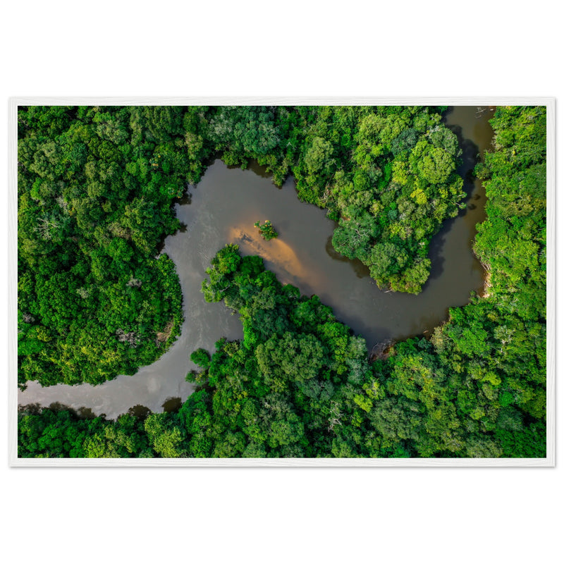 Meandros del Amazonas: El Corazón Verde