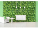 Papel Tapiz De Hojas Verdes Autoadherible Pared 3m*45cm