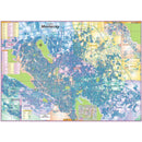 Mapa De Monterrey Y Zona Conurbada Mural Gigante