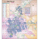 Mapa De Ciudad De Saltillo Por Colonias Mural