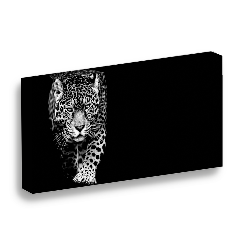 Cuadro Lienzo Canvas Moderno Jaguar Fondo Negro