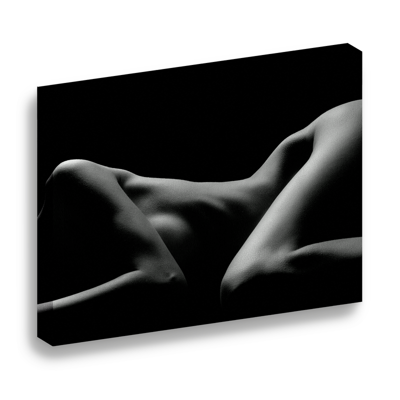 Cuadro Lienzo Canvas Mujer Silueta Desnudo Foto Sala