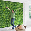 Papel Tapiz De Hojas Verdes Autoadherible Pared 3m*45cm